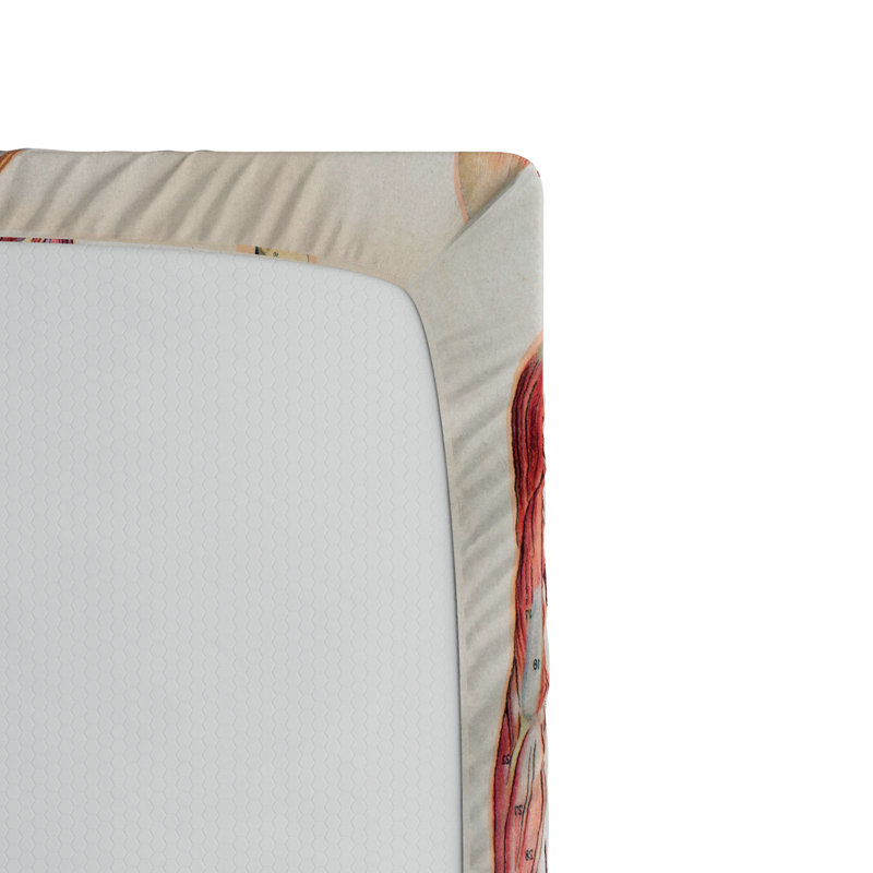 Microfiber Fitted Sheet, Full Fitted Sheet