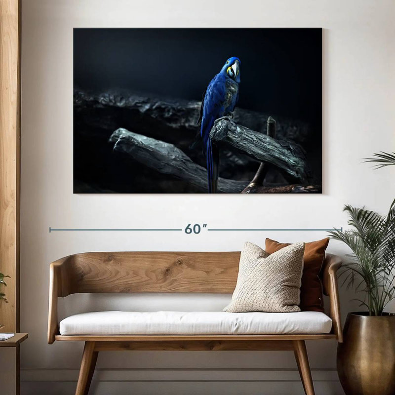 Brampt Hyacinth Macaw, 34" H x 51" W