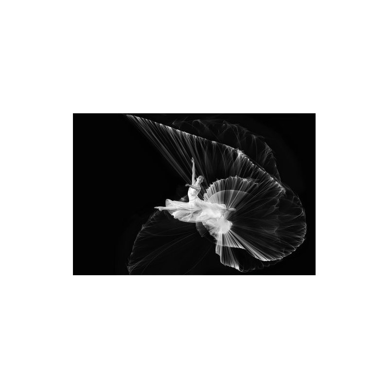 Wrapped Canvas Print, 50.8 cm H x 76.2 cm W