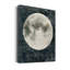 «Moon Love» par Carol Robinson, reproduction d'art sur toile tendue-327009011