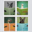 Chat, oiseau, dinosaure, chien, reproduction encadrée de 4 pièces-90691883-90691887