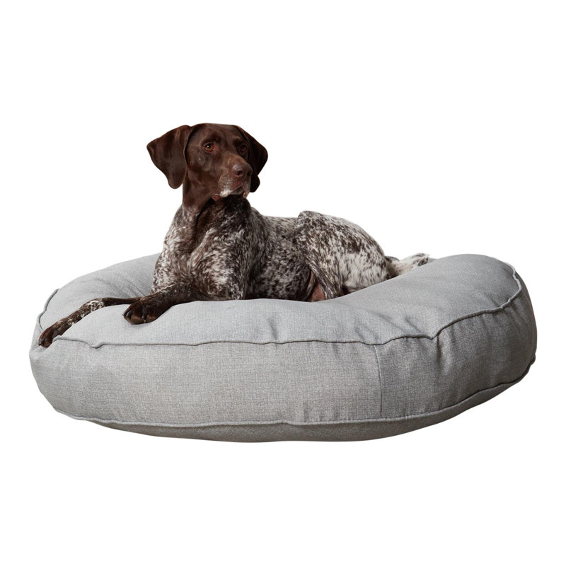 Lit-coussin pour chien Gordie, Très grand (l 42 po x P 42 po x H 6 po), Gris