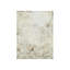 White Shadow Print by Samuel Kane-26948905-26948906