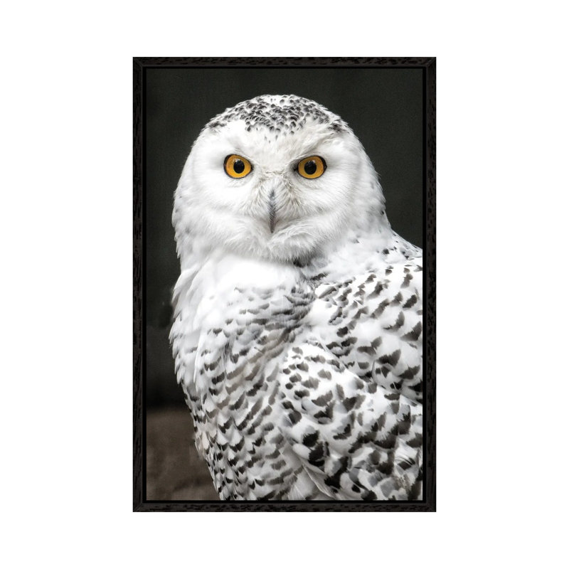 Snowey 1 Piece Wall Art on Canvas, 66.04 cm H x 45.72 cm W, Black Framed