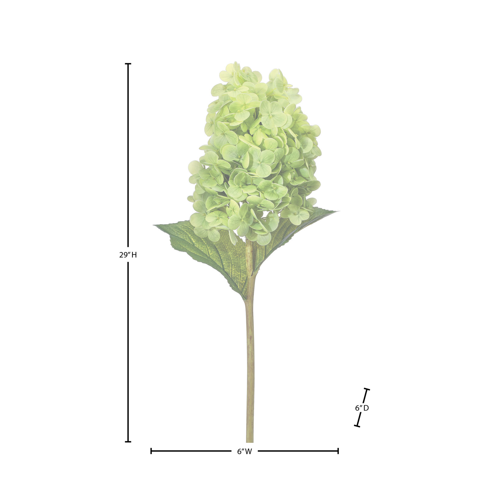 Cone Hydrangea Stems, Green