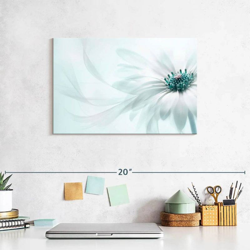 Harnek Translucent Cape Daisy, 8" H x 12" W