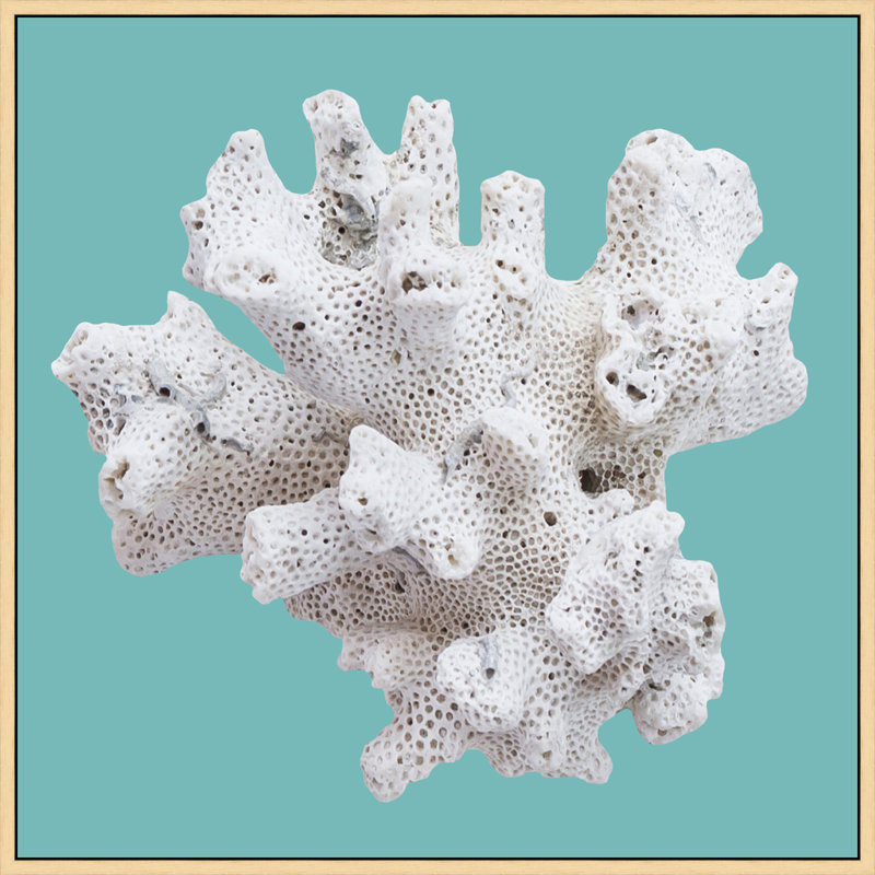 Coral Aqua, reproduction de photo encadrée de 5 pi