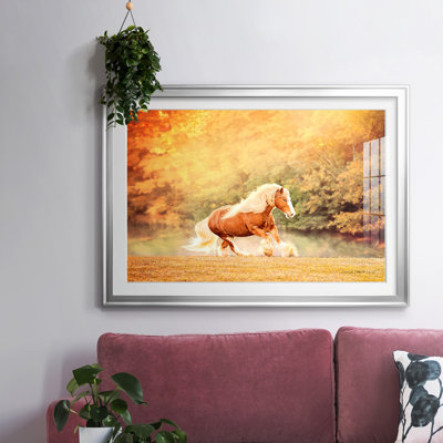 " Horse Motion II "