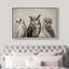 Oiseau, oiseau, bicolore, hibou-94585949-94585952