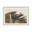 Classic Surf 1 Print by Studio L57 Narrative-15291855