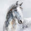 Mordern Horse Ar - reproduction d'art sur toile tendue-1721451639