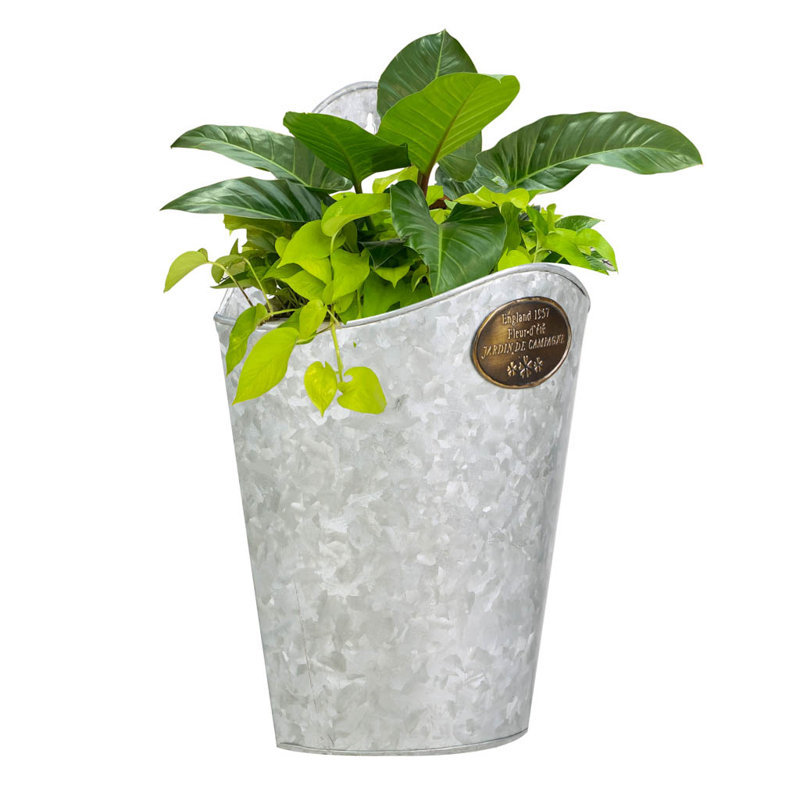 Clymer Metal Pot Planter