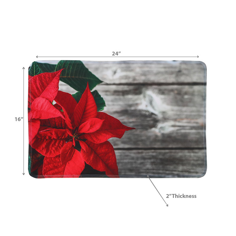 Tapis de porte d'intérieur 24 po x 16 po Andan