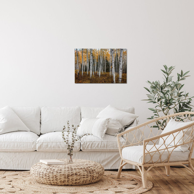 «Aspen Forest in Autumn» par Bill Sherrell - impression sans cadre, H 16 po x l 24 po x P 0,25 po