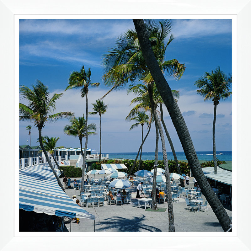 Florida Palms Print by Slim Aarons, 36" H x 36" W x 1.5" D, White Single Picture Framed
