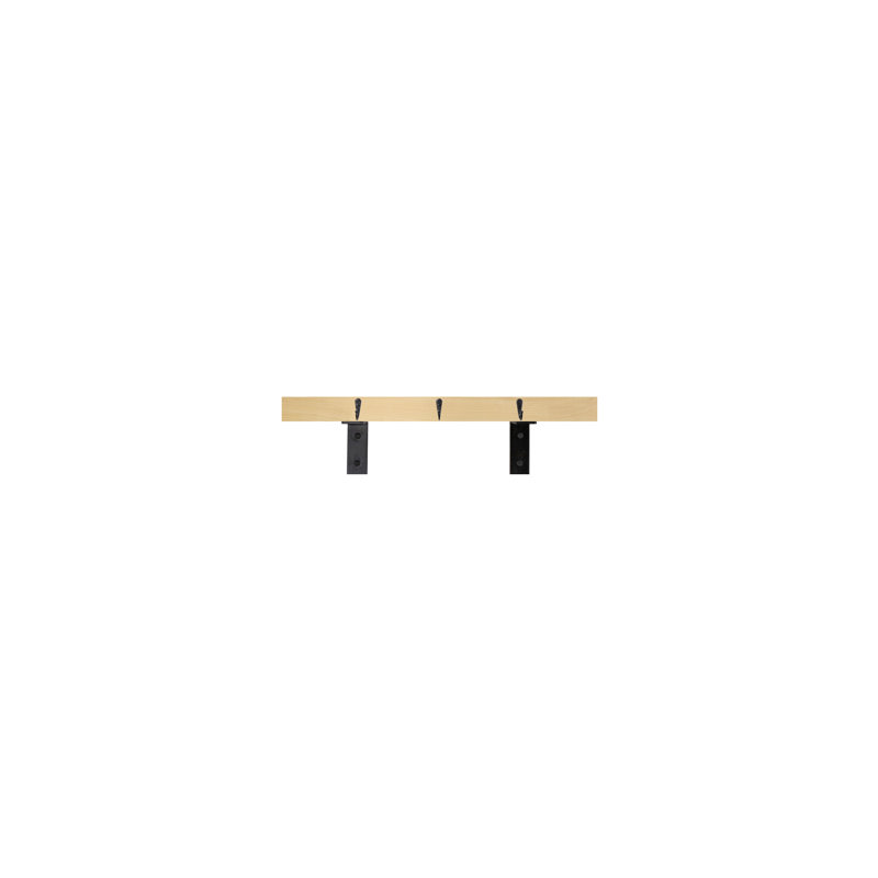 Rayne Plate Display Shelves With Hooks, 24/3/2, Natural