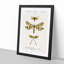 Butterfly Illustrations PL. 3 by Charles d' Orbigny - Picture Frame Graphic Art Print on MDF-55513280-55513279
