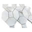 2 in. x 4 in. Novelty Polished Marble Tile