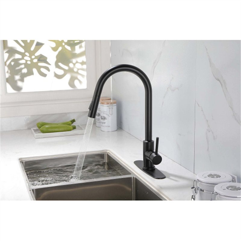 Robinet de cuisine rétractable à poignée simple avec accessoires, Noir mat