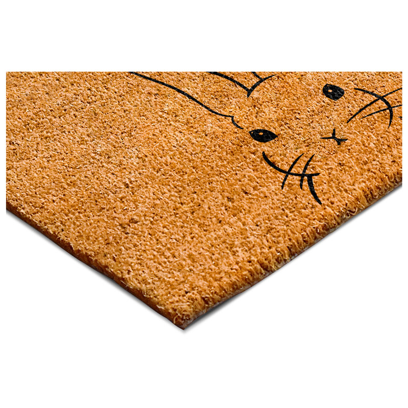 Non-Slip Doormat, 24" W x 36" L