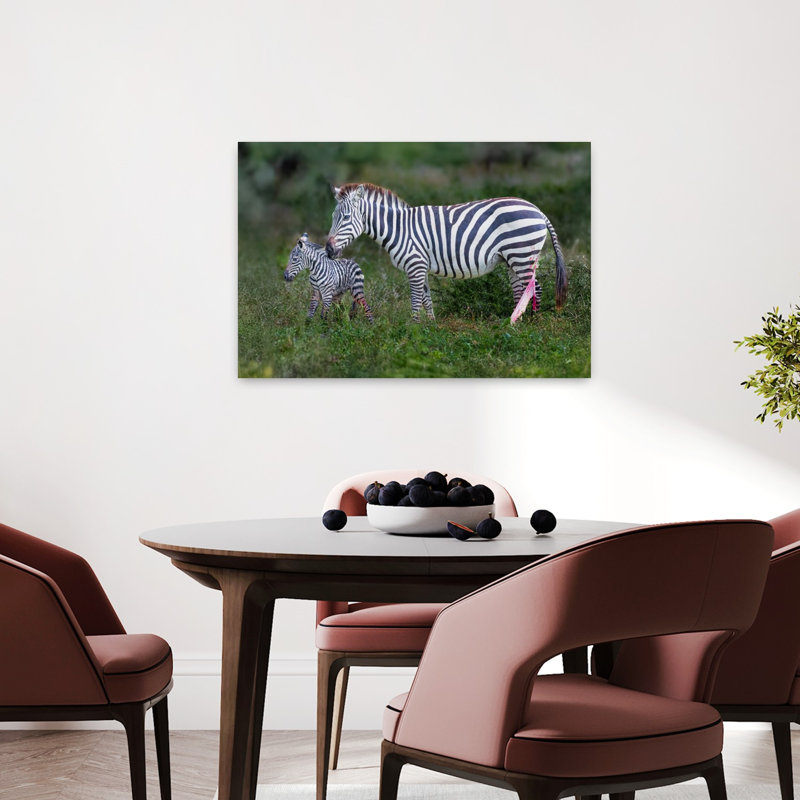 Newborn Zebra And Mother Contemporary Zebra Nature Wildlife Wall Art Print by Jeffrey C. Sink - 1 Piece Wrapped Canvas Wall Art