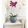 Florence Pot Planter