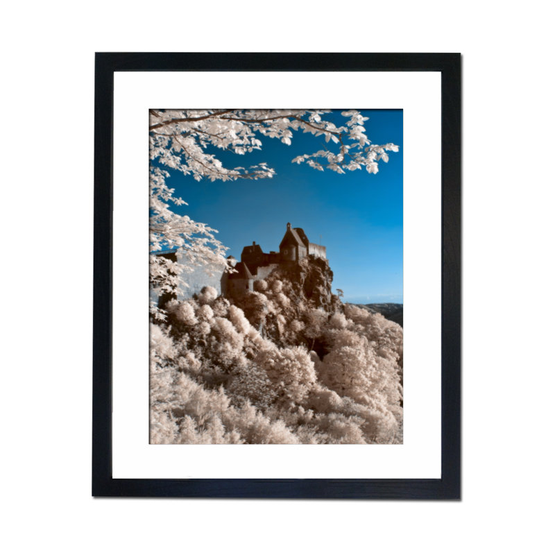Single Picture Frame Print