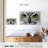 Brampt Staring Eagle Owl-107693133