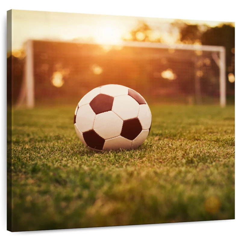 Ballon de soccer Sireci sur le terrain, H 10 po x l 10 po
