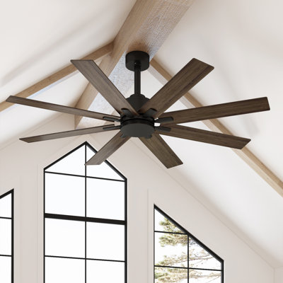 Ceiling Fan