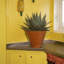 Handmade Ceramic Planter-585783177-585783183