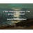 Artsy Quote "I like having curves - I’m proud of them!" By Lacey Schwimmer Gallery Wrapped Canvas