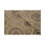 Walton Oriental Area Rug