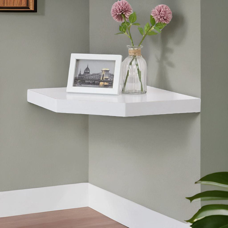 Antaneisha Floating Shelf