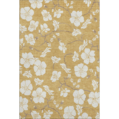 Premium Machine Washable Birchview AMF1032 Floral Rug