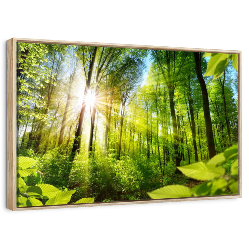 Forêt ensoleillée, Cadre flottant en bois naturel, 13 po x 9 po