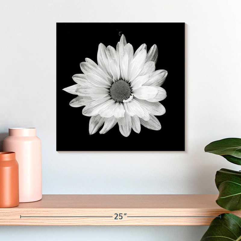 Harnek BW White Daisy, 16" H x 16" W