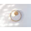 Carys Glass LED Flush Mounted Sconce