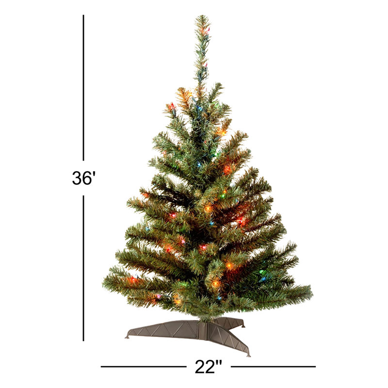 3 ft. Kincaid Spruce Tree with Multicolor Lights