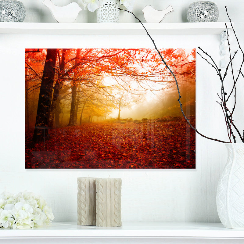 «Yellow Sun Rays in Red Forest», reproduction de photo sur toile tendue, H 20 po x l 20 po x P 1 po, Toile tendue
