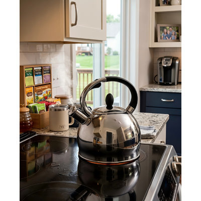 2.7‑quart food‑grade stainless steel whistling kettle in silver, ergonomic grip handle and one silicone heat‑proof mitt, works on induction, gas, electric and radiant cooking surfaces.
