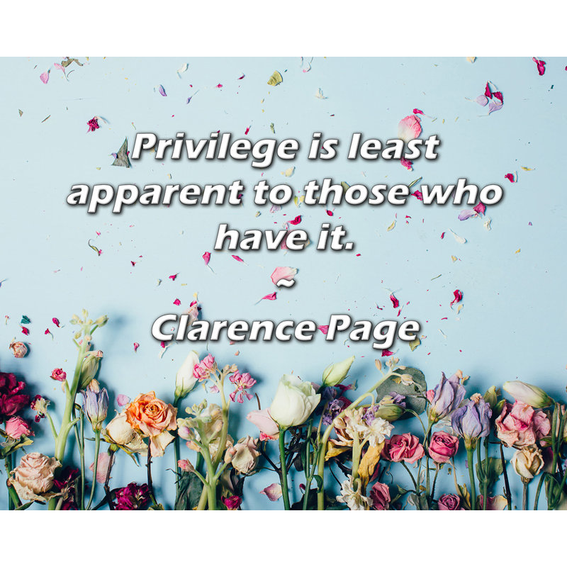Mercer41 Gallery Wrapped Canvas By Clarence Page: "Privilege is least apparent to those who have