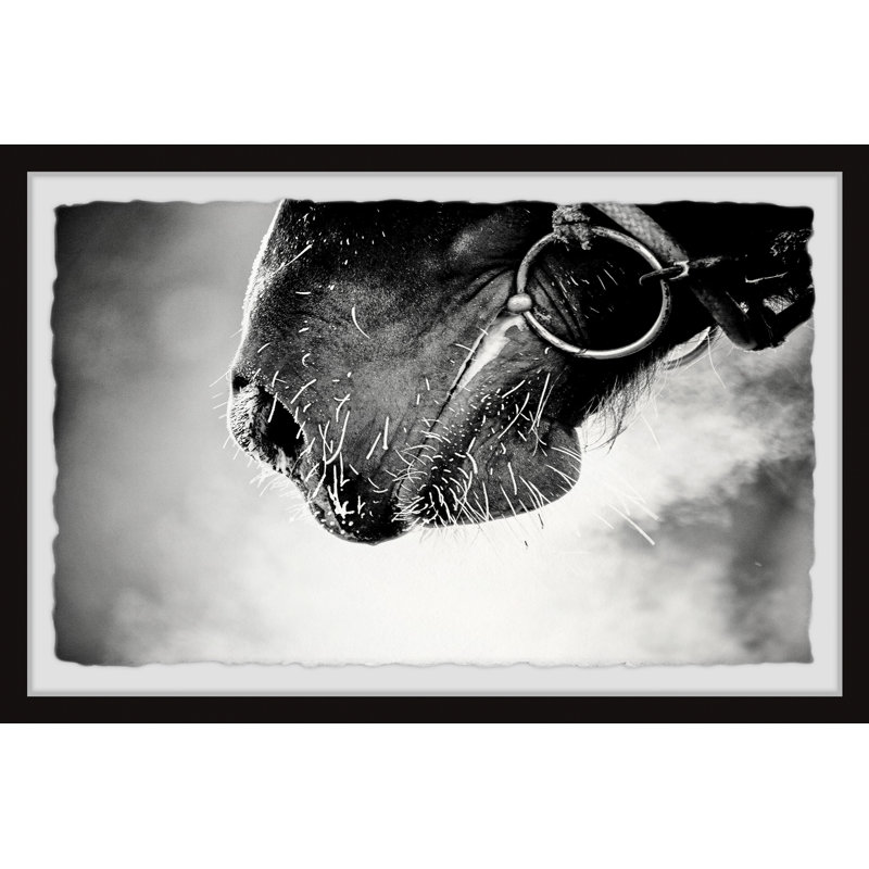 1 Piece Single Picture Frame Wall Art, 20cm H x 30cm W