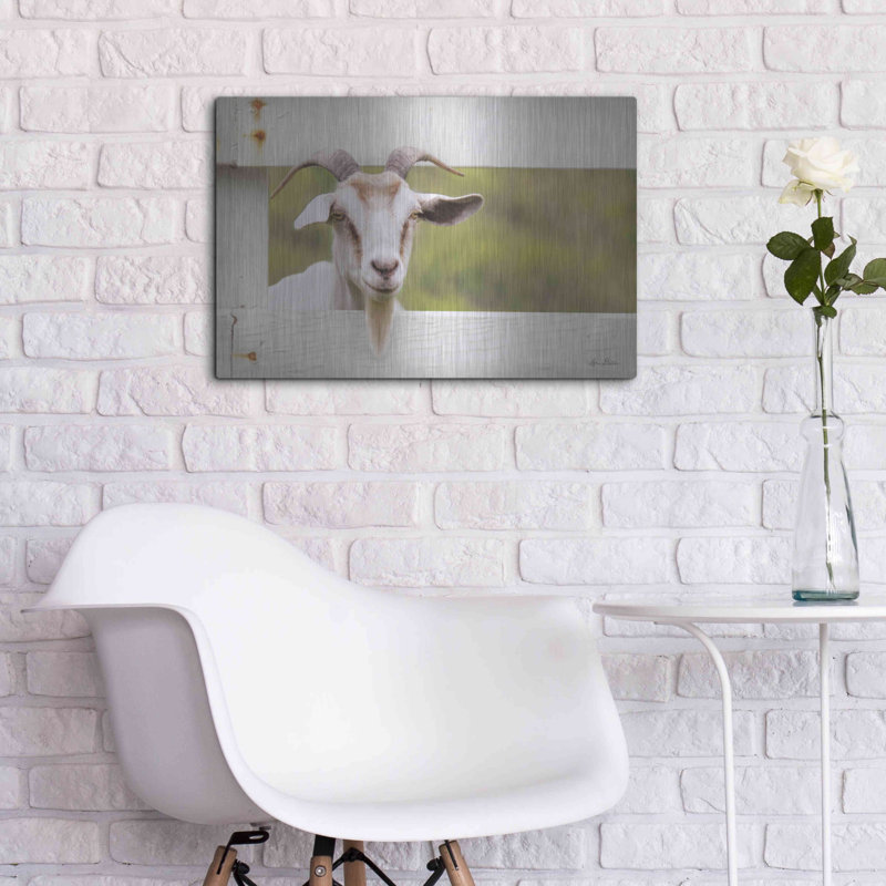 "Goat At Fence" par Lori Deiter, H 16 po x l 24 po