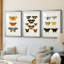 Papillons rétro IV - impression encadrée de qualité supérieure sur mesure mat - 3 pièces-825641739-825641738