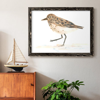 " Pretty Piper IV "