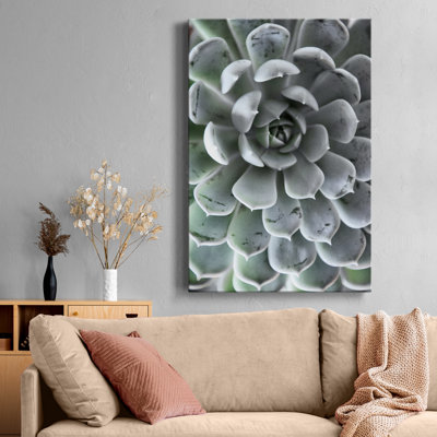 " Zen Succulent III "