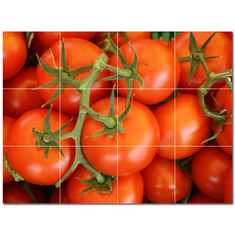 Photo de fruits 12 x 12