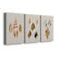 Antique Shells on Linen I - Ensemble de 3 peintures sur toile tendue-19642670