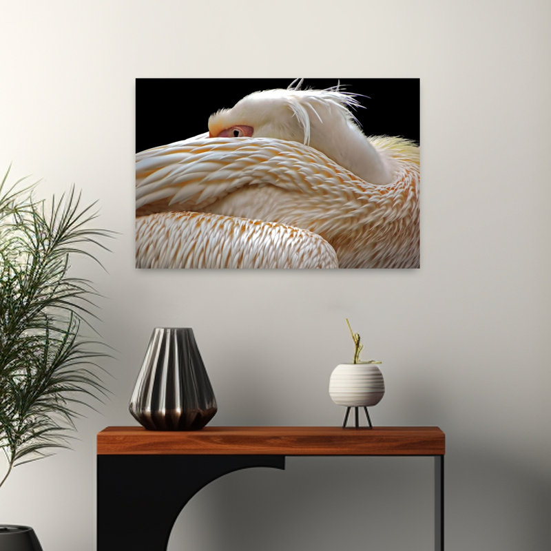 Peaceful White Pelican Elegant Peaceful Serene Bird Pelican Nature Wildlife Wall Art Print by Thierry Dufour - Wrapped Canvas Print